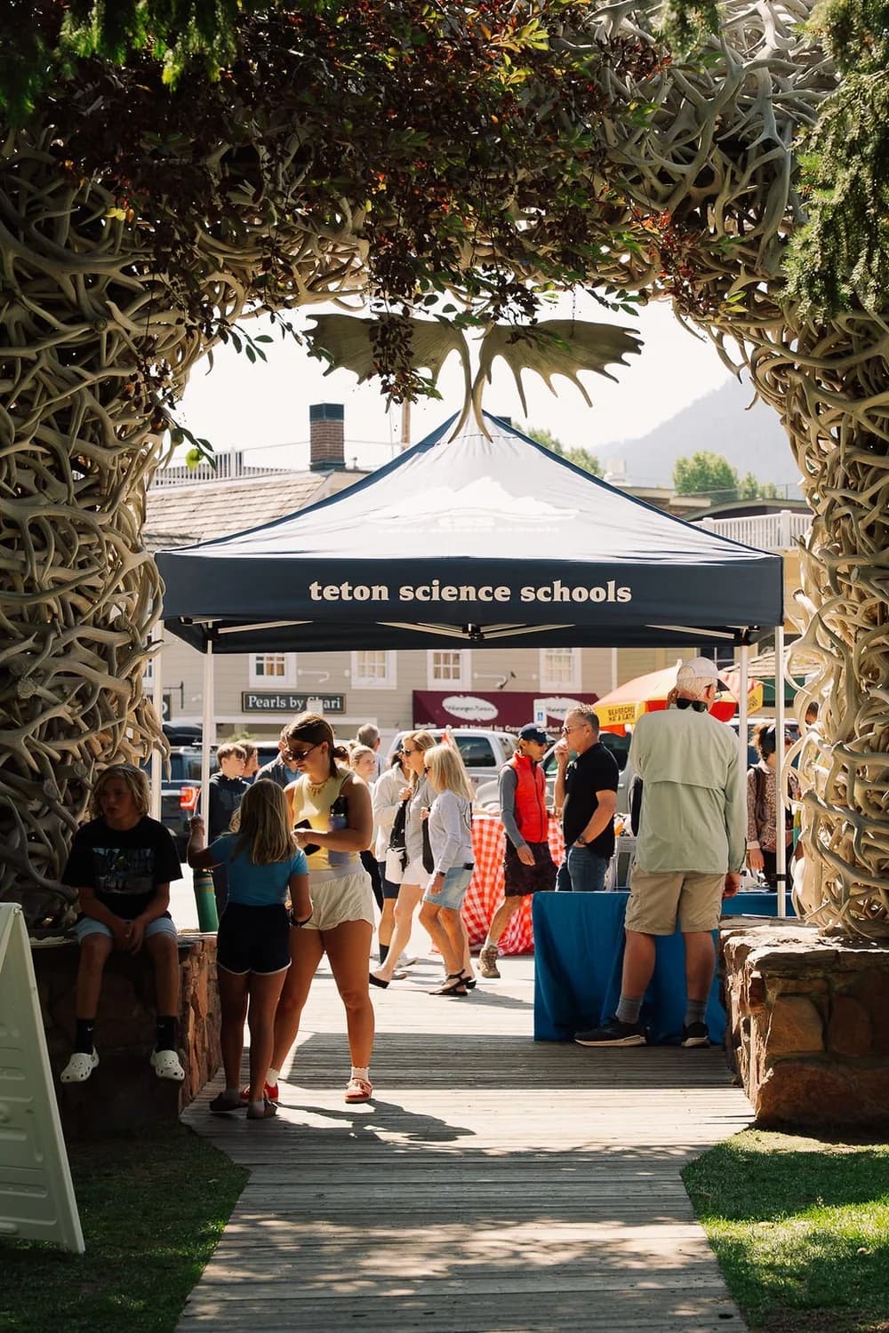 A Discovery Session with Teton Science Schools