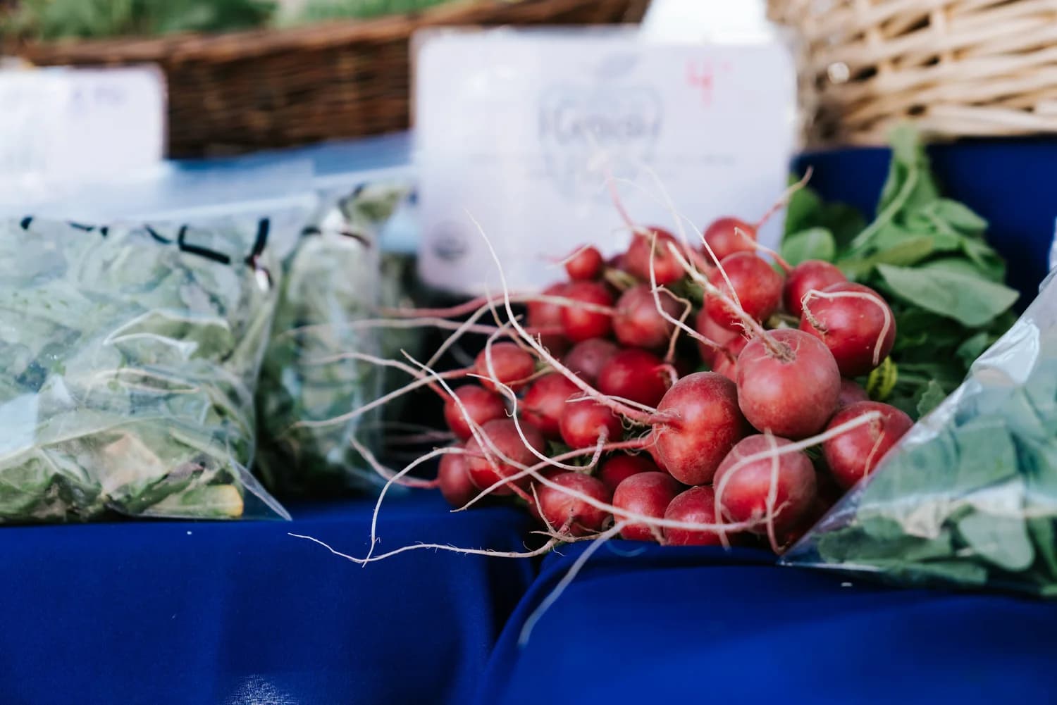 Fresh produce grown for the Jackson Hole Farmers Market