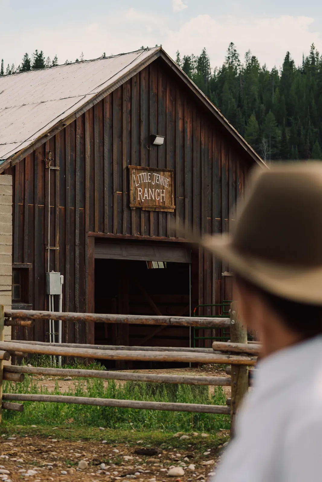The Little Jennie Ranch barn against the treeline