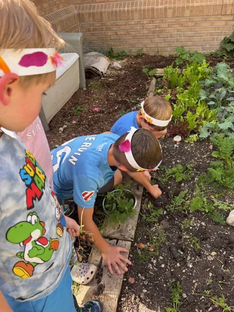 Children reaching into the garden beds to plant and tend seedlings