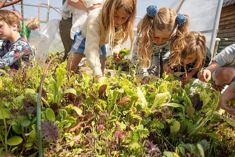 Kids exploring a hands-on Discovery Session table at the market