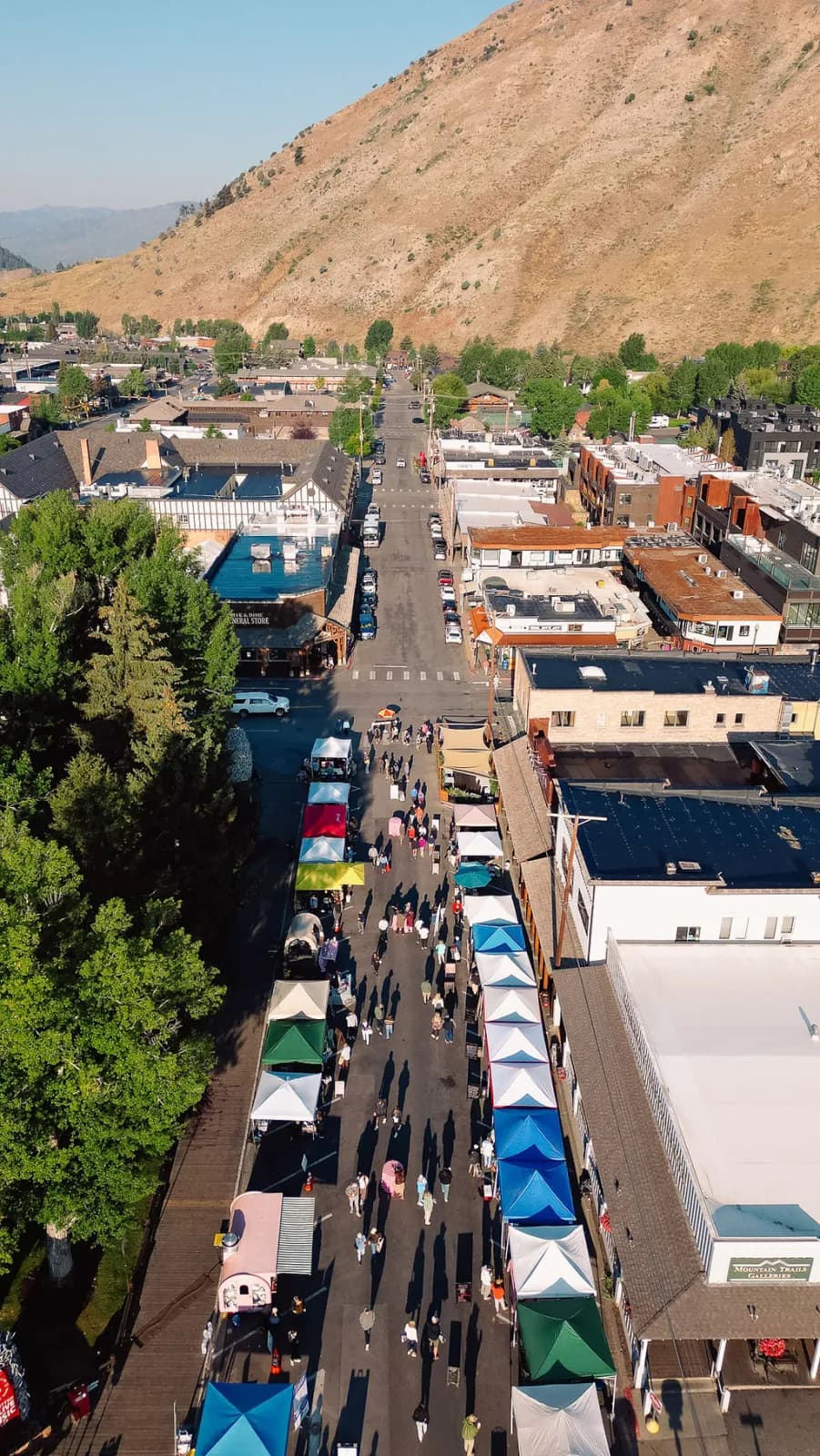 Aerial view of the Saturday market stretching down the Town Square with the mountains beyond