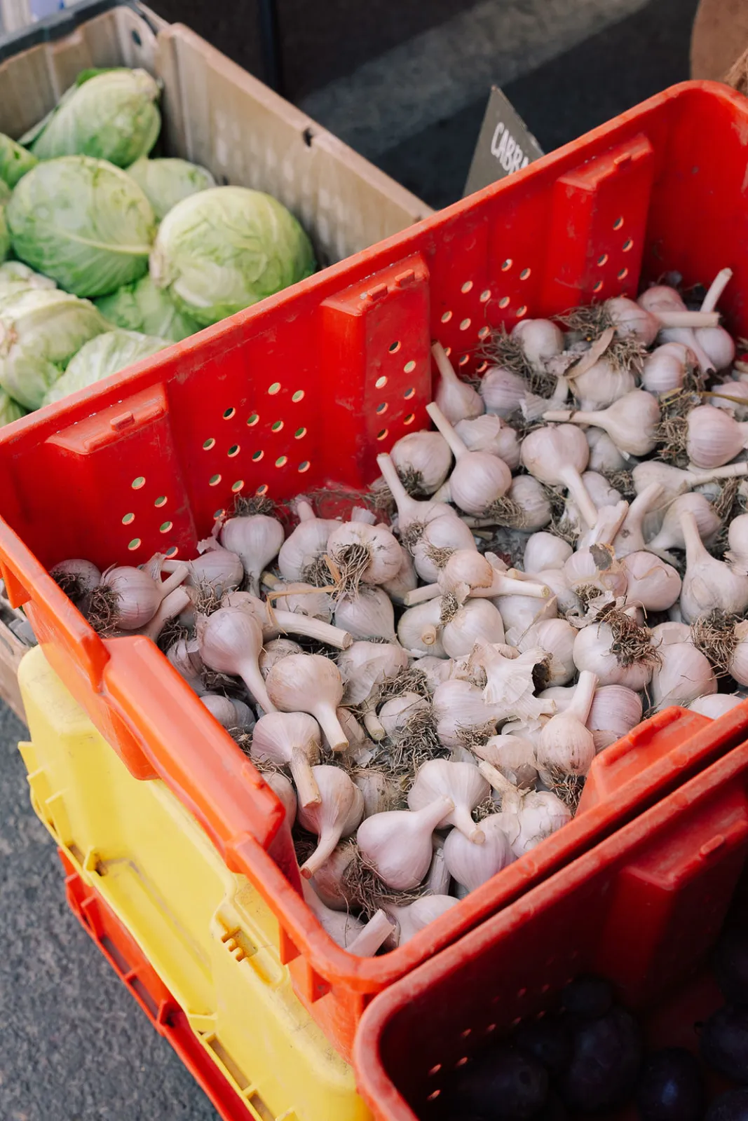 Crates of garlic and cabbage at a produce stand